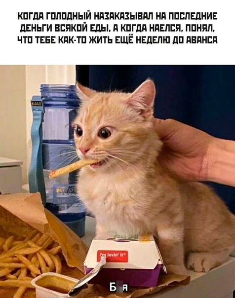 Картинки и мемы для настроения - 167