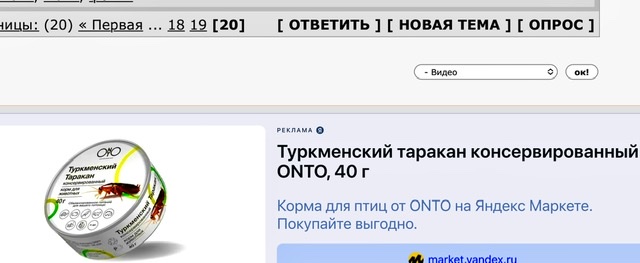 Демократия в опасности!