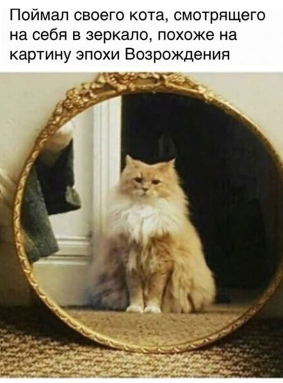 Так себе картинки 17.08.23