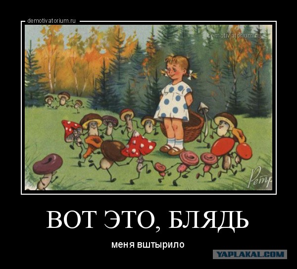 Вот и мне счастье подвалило
