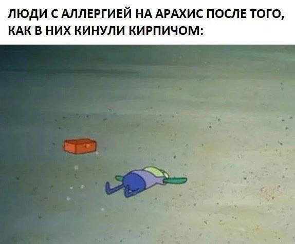 Нуштош 03.05.2024