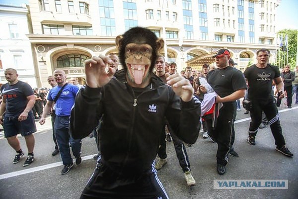 Фраерок он такой или