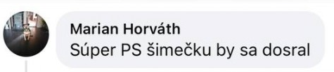 Словаки поддержали Фицо после его встречи с Путиным