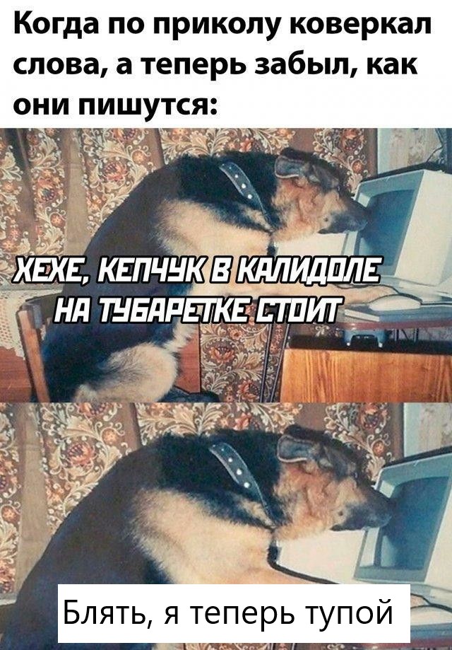 Дегрономикон 10