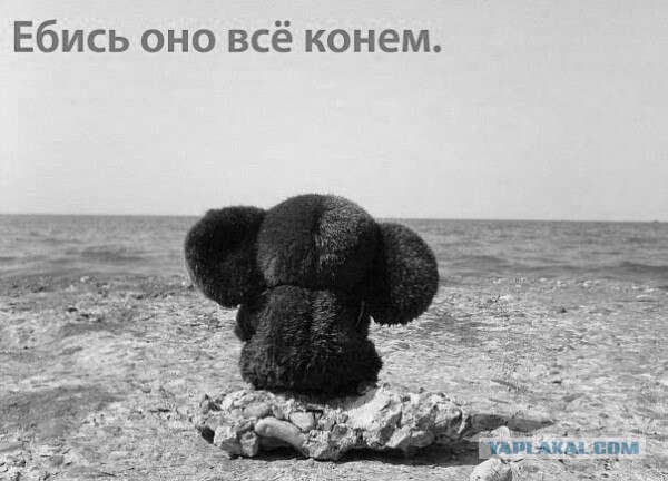 Про рыбалку