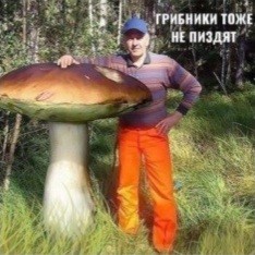 До каких размеров увеличивать?