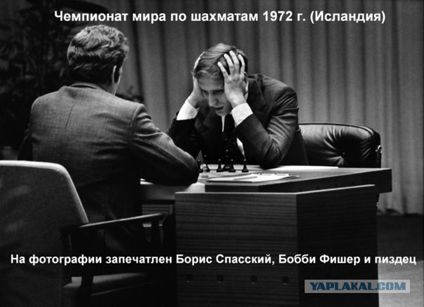 Тема для юмора