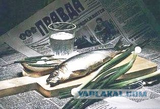 Куда пропала Сельдь Иваси?