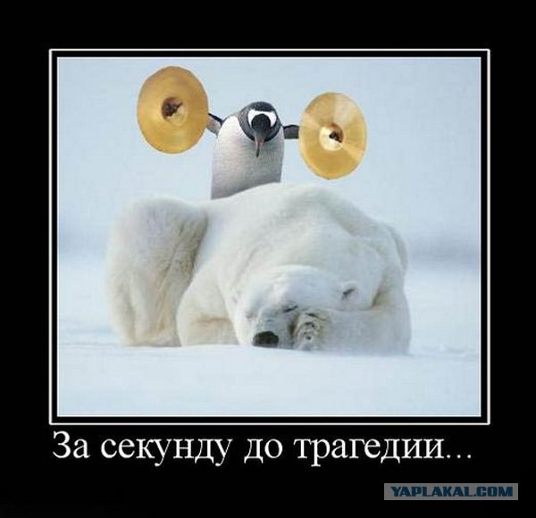 За секунду до...