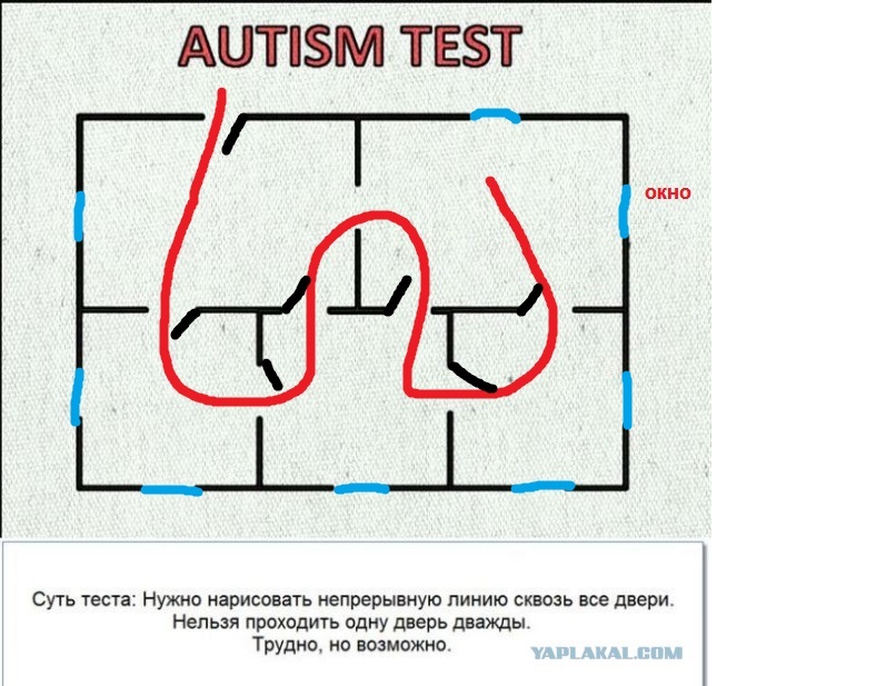 Тест на аутические расстройства. Диагностические тесты на аутизм. Тест на аутизм двери. Решение теста на аутизм. Проведите непрерывную линию через все двери.