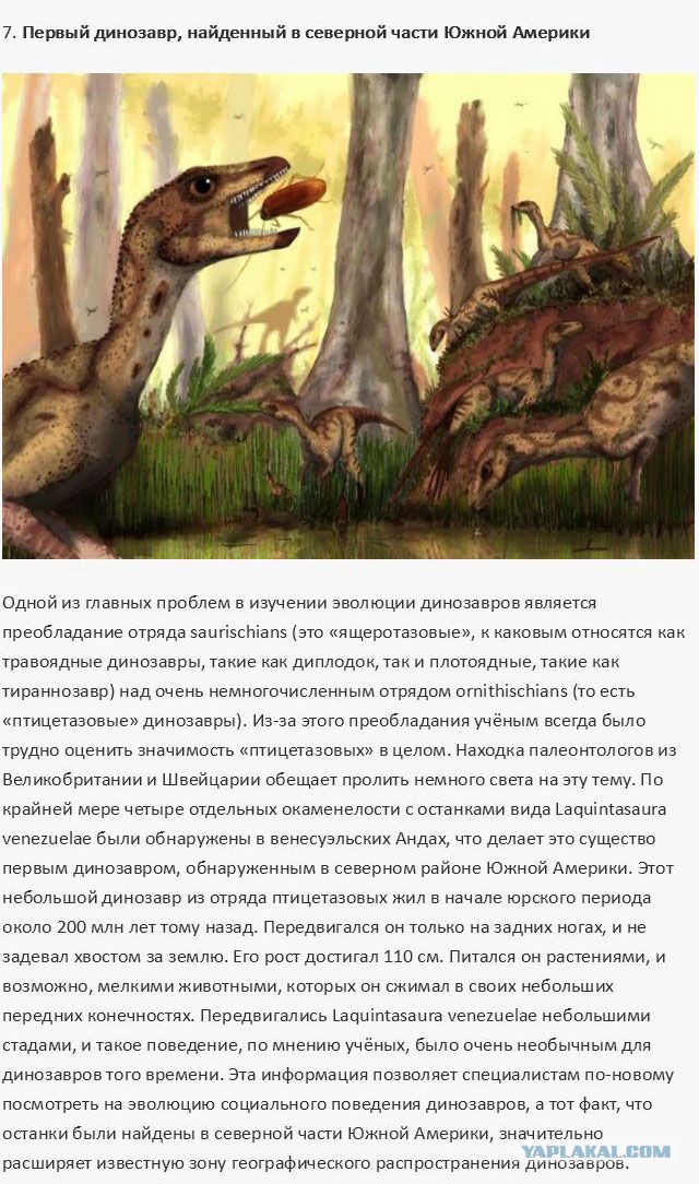 20 фактов обо всем