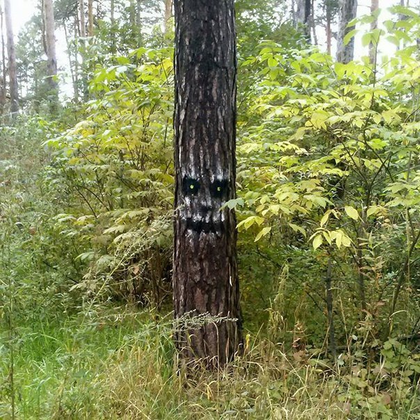 Лесной креатив