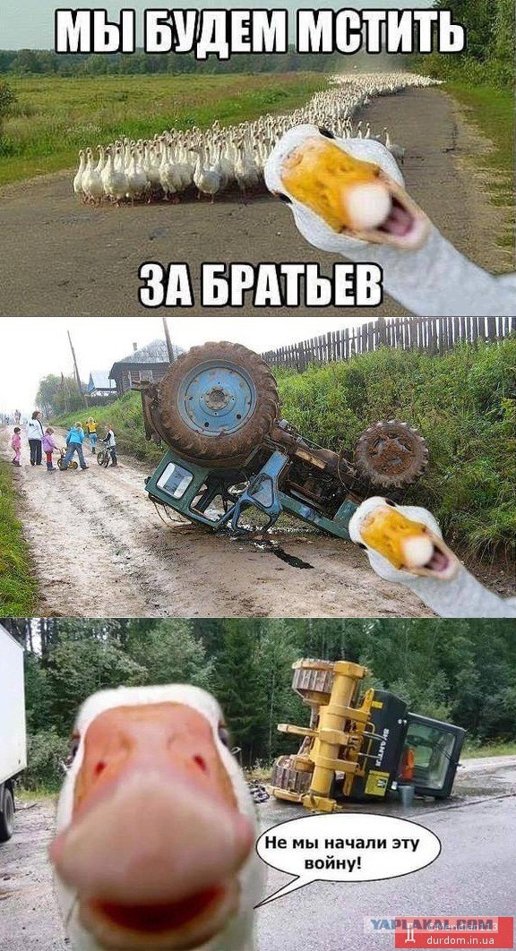 Неожиданно!