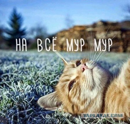 Пошлости и не очень