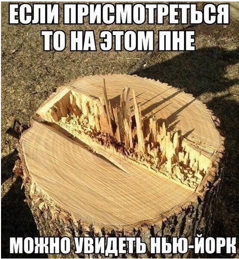 Юмор не для всех