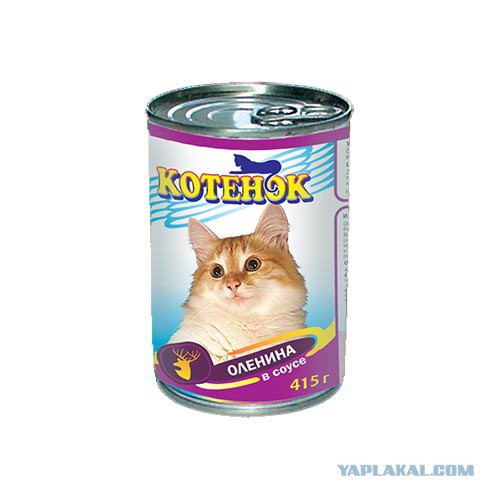 Самые странные консервированные продукты
