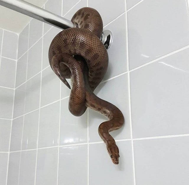 Shit happens или неприятности порой застают врасплох