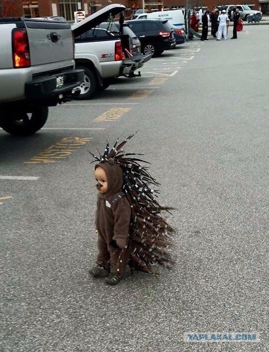 Картинок разных