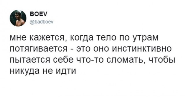 Забавные шутки, фразы и комментарии из этих ваших интернетов