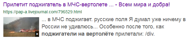 Лесные пожары в Сибири не будут тушить из-за экономии средств