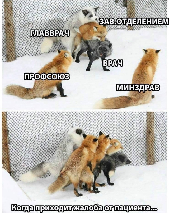 Всякое с ЗМ