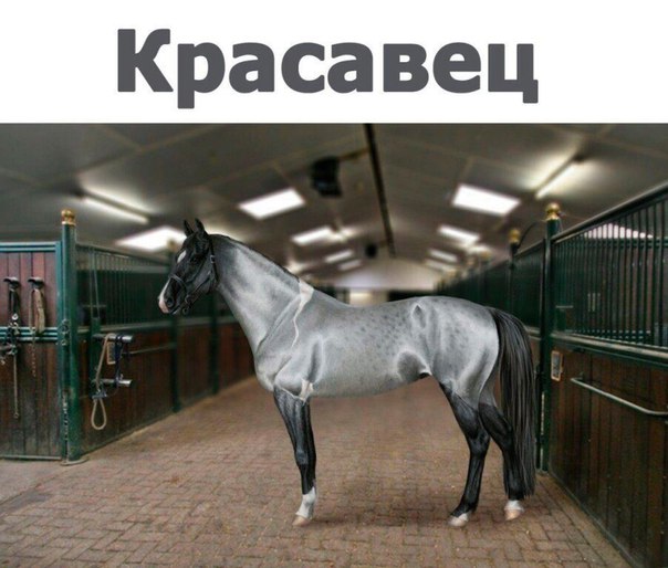 Всем хорошего настроения с картинками