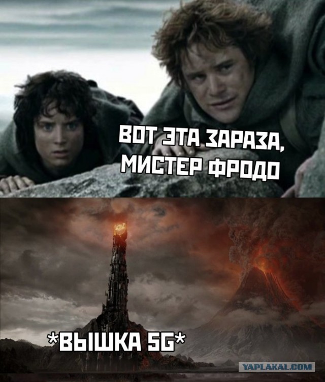 5G бунт в Ленинградской области