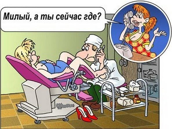 Боянистые картинки 22.12.20