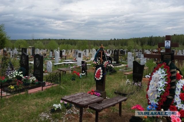 В Совфеде посоветовали пенсионерам, которым не хватает денег на еду, найти подработку