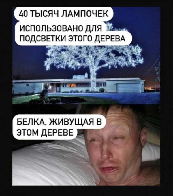 Прикольные и просто красивые картинки 12.01.2022