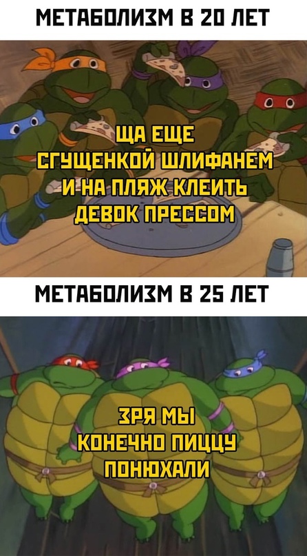 Весёлый полтишок 23.08.22