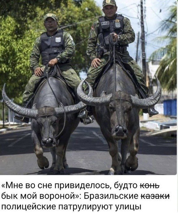 Немного картинок для настроения - 114