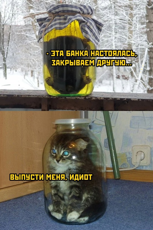 Немного картинок для настроения