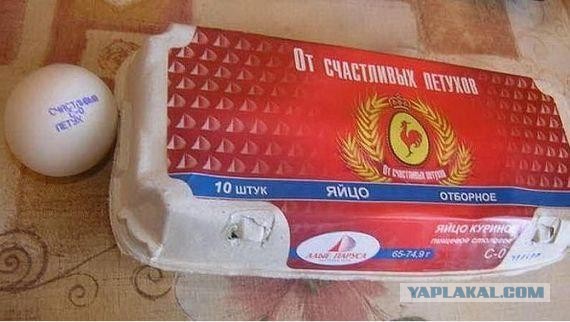 "У меня 2 миллиона подписчиков - вас загасят толпой"