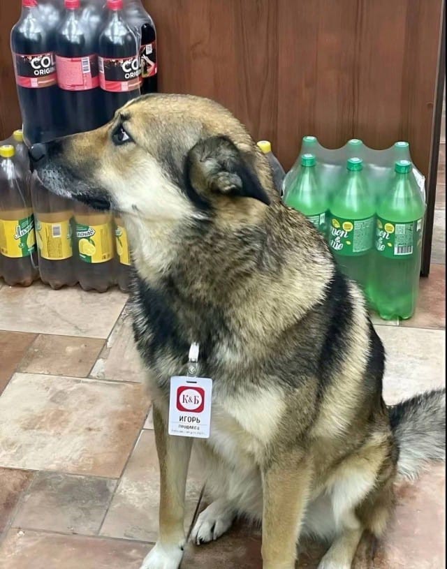 Картинки для деградации 137 (разной степени свежести)