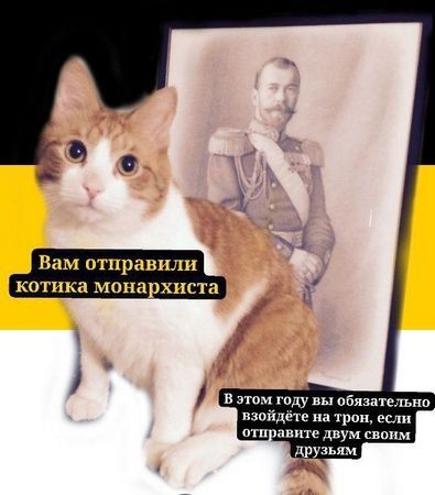 Федор Емельяненко назвал революцию 1917 года трагедией: «Сколько замучили, убили, расстреляли, повесили, в нечистотах утопили»