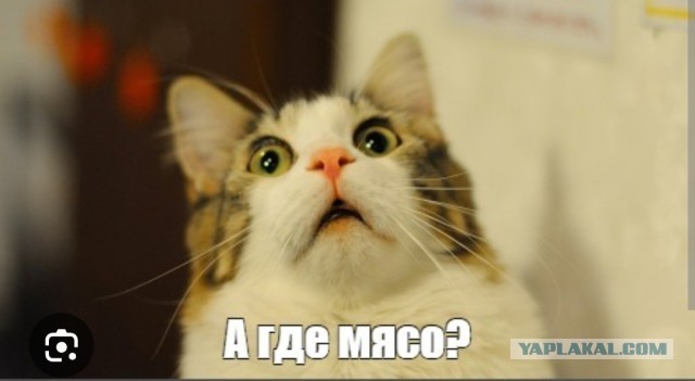 Ща я вас научу