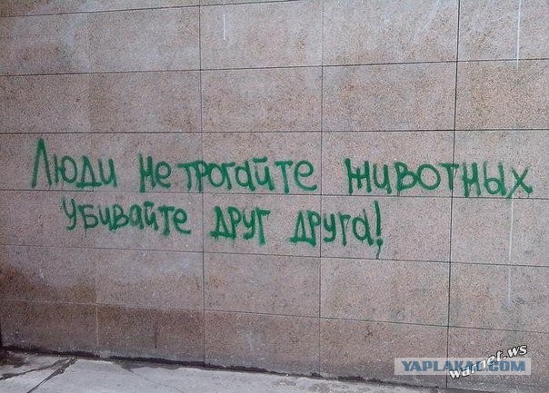 Берегите животных