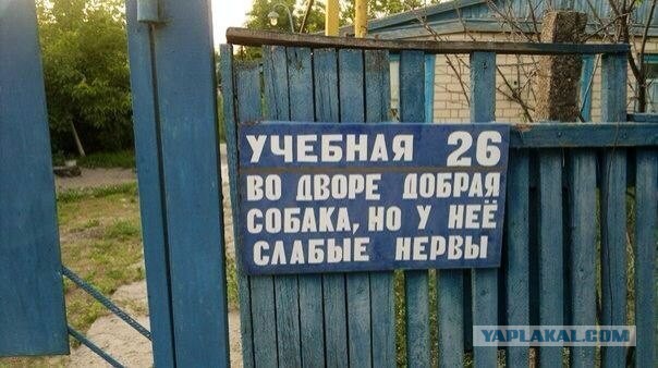 Все в порядке