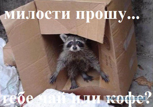 Нет денег на приличное жилье? Купите "путинку"!