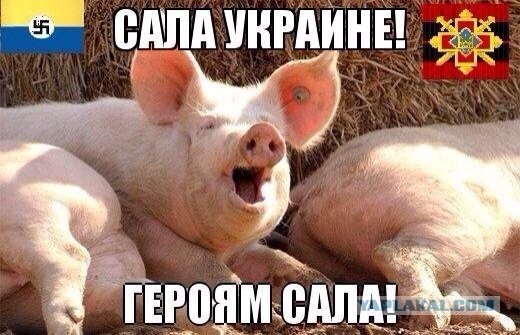 В Мариуполь едут Грады и танки из Киева