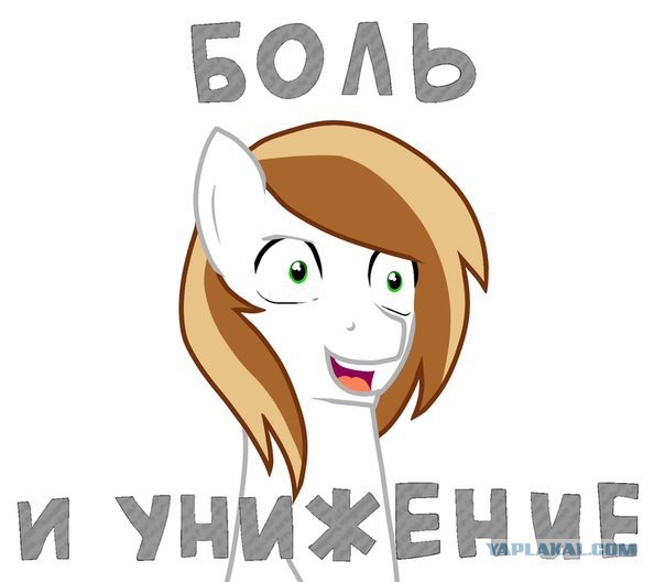 "Все мужики – сво...": идеальная философия