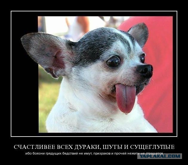Обама сравнил Россию с нацистскими оккупантами