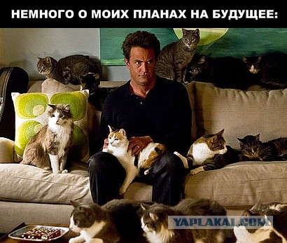А стоит ли жениться?