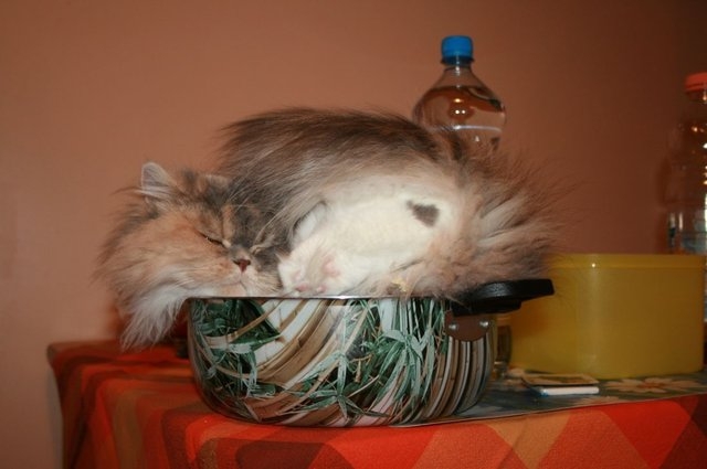 Фотоподборка очень удобных кастрюль