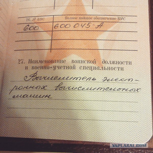 5476611.jpg