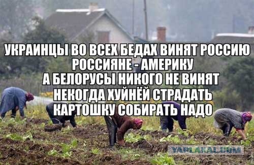 Картинки из сети