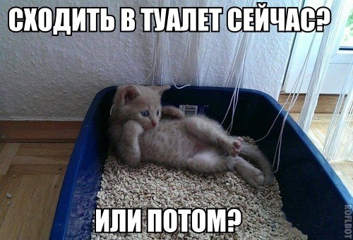 Гиф и картинок подборка!