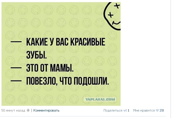 Ужасы и приколы из соцсетей 18+