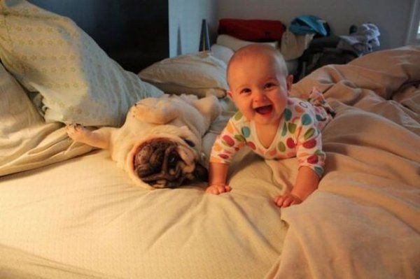 Подборка интересных и веселых фото